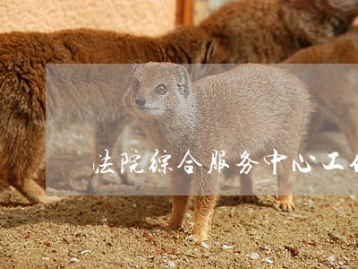 法院综合服务中心工作部署简报