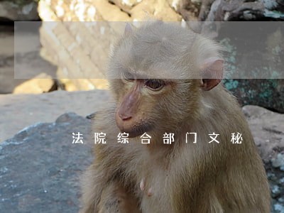 法院综合部门文秘