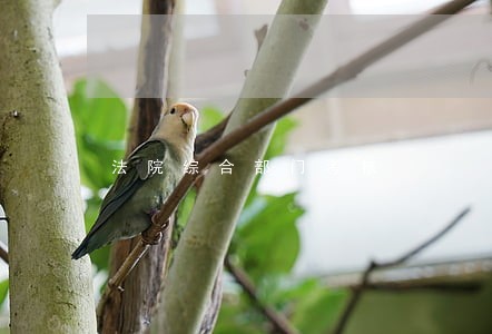 法院综合部门考核 法院综合部门考核