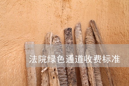 法院绿色通道收费标准 法院绿色通道收费标准