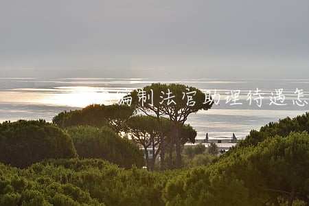 法院编制法官助理待遇怎么样 法院编制法官助理待遇怎么样