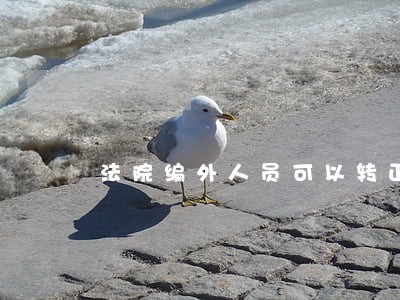法院编外人员可以转正吗 法院编外人员可以转正吗