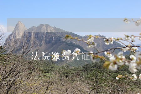 法院缴费凭证 法院缴费凭证