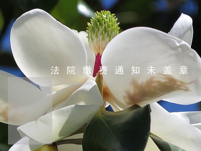 法院缴费通知未盖章