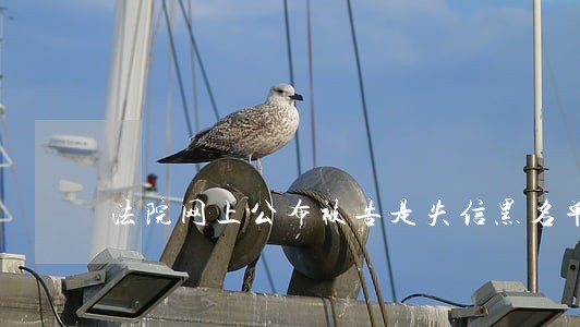法院网上公布被告是失信黑名单吗 法院网上公布被告是失信黑名单吗