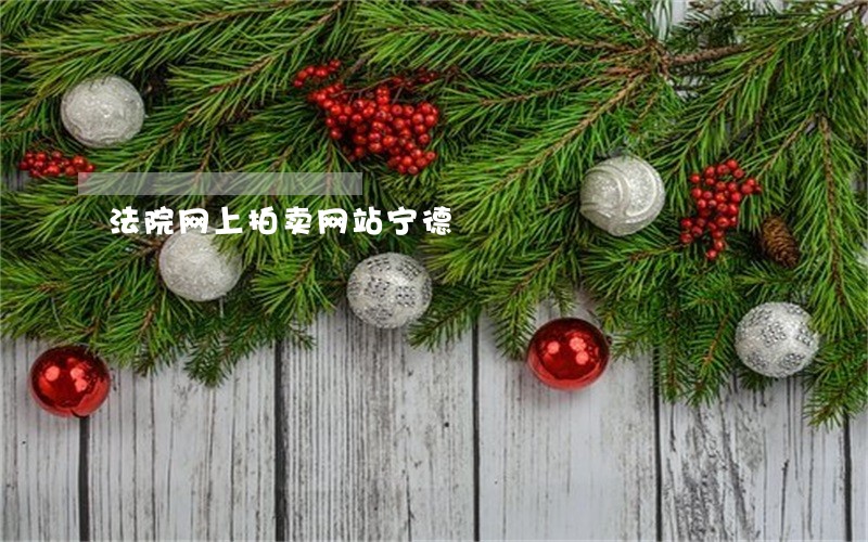 法院网上拍卖网站宁德