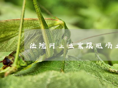 法院网上立案跟现场立案区别 法院网上立案跟现场立案区别