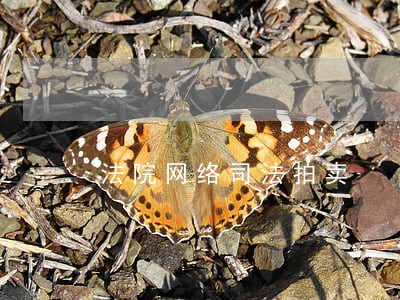 法院网络司法拍卖 法院网络司法拍卖