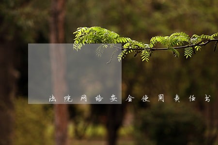 法院网络安全使用责任书