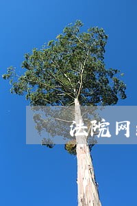 法院网络拍卖的经验做法 法院网络拍卖的经验做法
