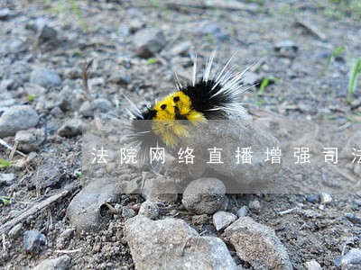 法院网络直播增强司法透明 法院网络直播增强司法透明
