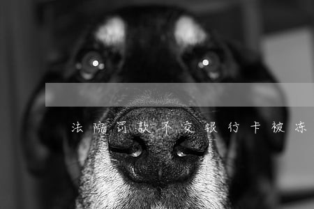 法院罚款不交银行卡被冻结 法院罚款不交银行卡被冻结