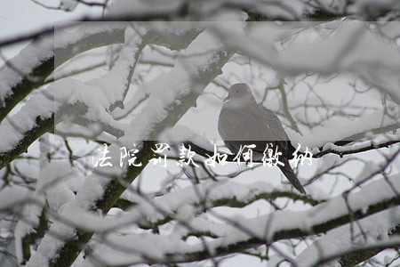 法院罚款如何缴纳 法院罚款如何缴纳