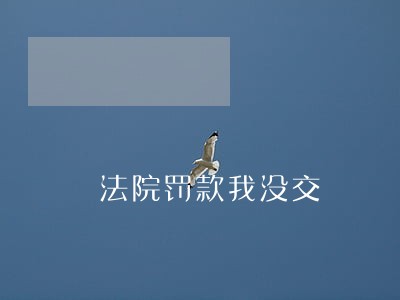 法院罚款我没交 法院罚款我没交