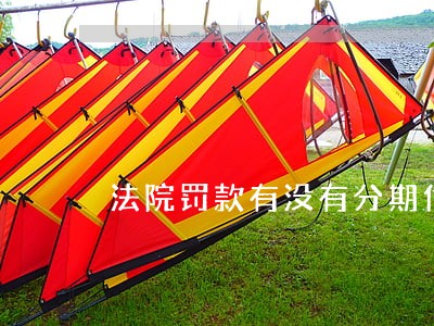 法院罚款有没有分期付款 法院罚款有没有分期付款