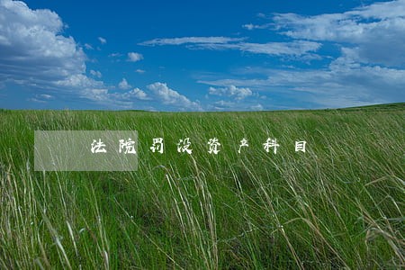法院罚没资产科目