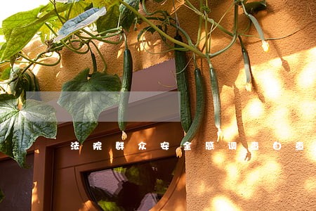 法院群众安全感调查自查 法院群众安全感调查自查