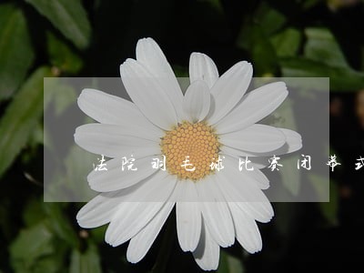 法院羽毛球比赛闭幕式领导讲话 法院羽毛球比赛闭幕式领导讲话