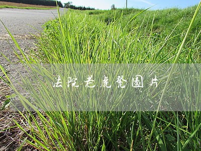 法院老虎凳图片