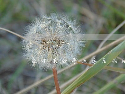 法院老领导退休后代理案件 法院老领导退休后代理案件