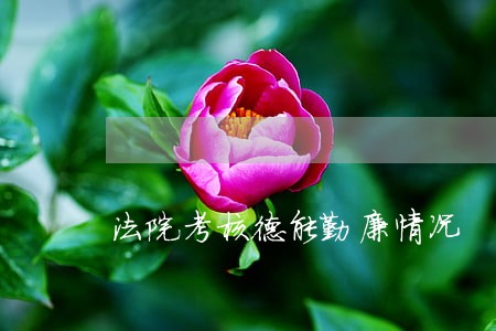 法院考核德能勤廉情况