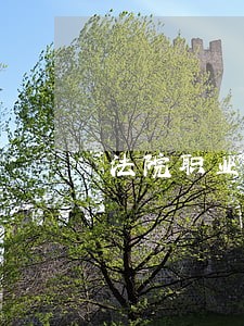 法院职业道德建设辅导讲话 法院职业道德建设辅导讲话