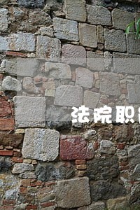 法院职能简介视频 法院职能简介视频