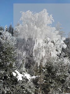 法院联动冻结银行卡 法院联动冻结银行卡