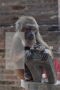 法院联欢会领导讲话 法院联欢会领导讲话