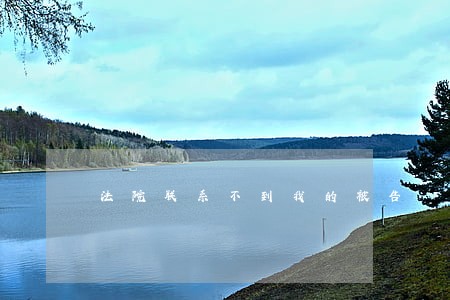 法院联系不到我的被告 法院联系不到我的被告
