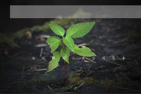 法院聘用人员合同范本