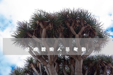 法院聘用人员考勤