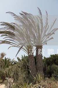 法院聘用制书记员贴吧