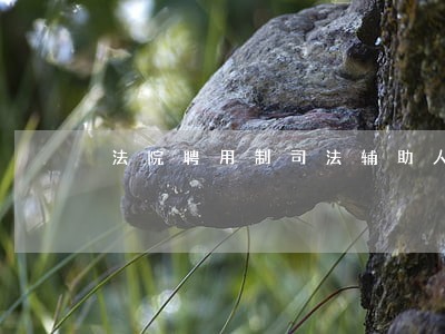 法院聘用制司法辅助人员面试 法院聘用制司法辅助人员面试