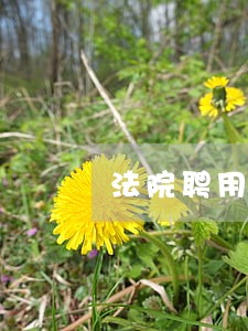 法院聘用制的书记员能干长吗 法院聘用制的书记员能干长吗
