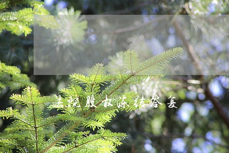 法院股权冻结答复 法院股权冻结答复
