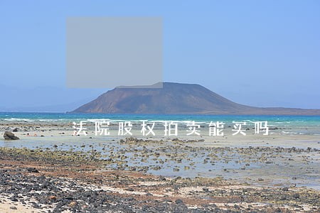 法院股权拍卖能买吗 法院股权拍卖能买吗