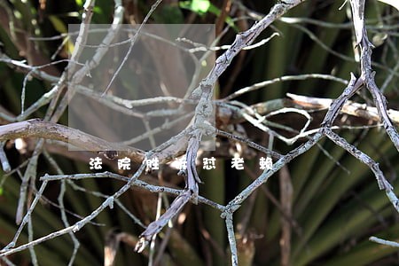 法院胜诉怼老赖 法院胜诉怼老赖