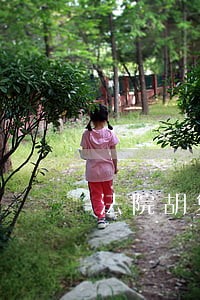 法院胡复冰一区