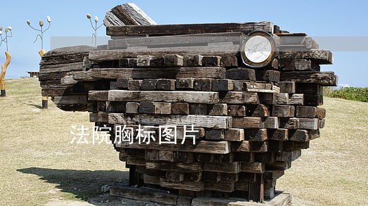 法院胸标图片 法院胸标图片