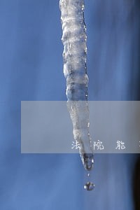 法院能不冻结优抚款