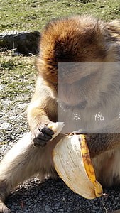 法院能不能给失信人员手机定位 法院能不能给失信人员手机定位