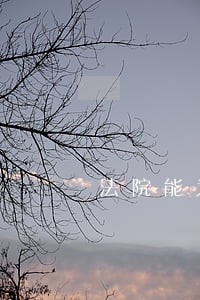 法院能为房产直接确权