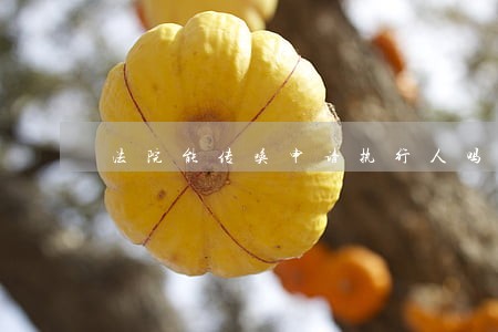 法院能传唤申请执行人吗 法院能传唤申请执行人吗