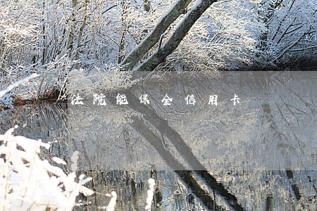 法院能保全信用卡 法院能保全信用卡
