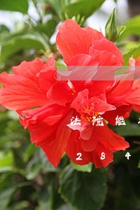 法院能冻结专项资金吗/2023031228468 法院能冻结专项资金吗/2023031228468