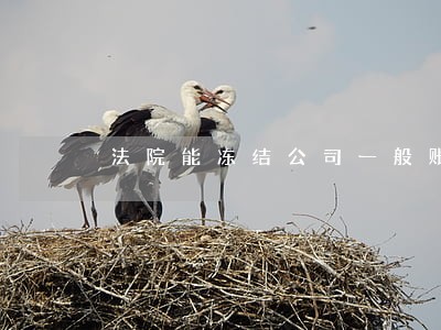 法院能冻结公司一般账户么 法院能冻结公司一般账户么