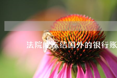 法院能冻结国外的银行账户吗 法院能冻结国外的银行账户吗