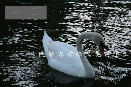 法院能冻结微信支付宝上的资金么 法院能冻结微信支付宝上的资金么