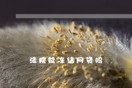 法院能冻结网贷吗 法院能冻结网贷吗
